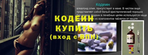 PSILOCYBIN Костерёво