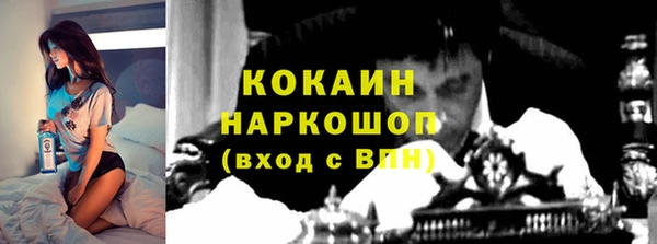 трава Коряжма