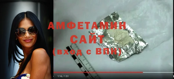 трава Коряжма