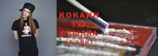 трава Коряжма