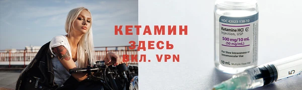 трава Коряжма