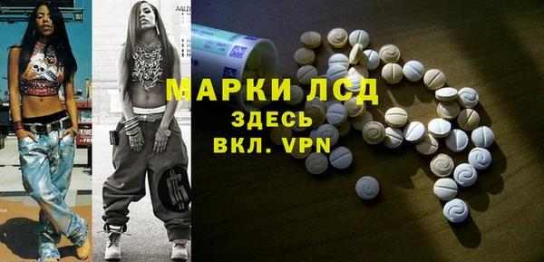 трава Коряжма