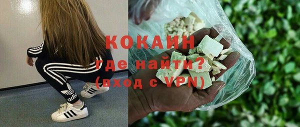 трава Коряжма