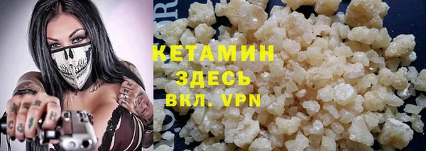 трава Коряжма