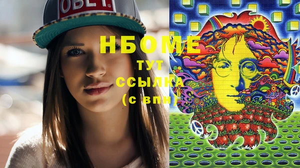 трава Коряжма