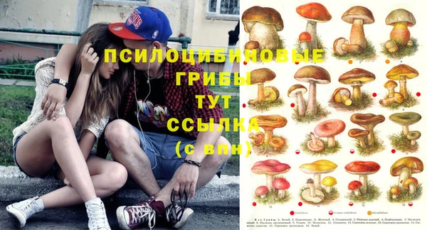 PSILOCYBIN Костерёво