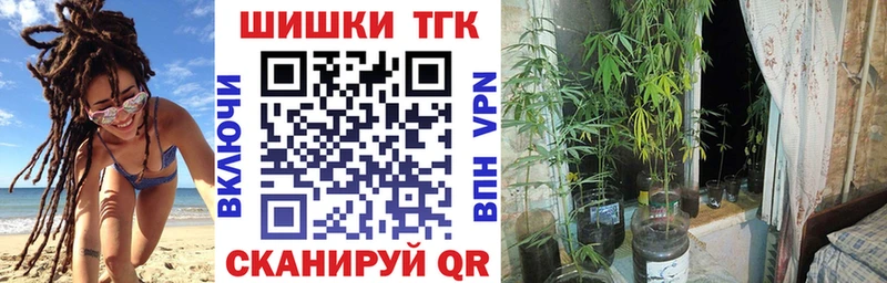 Каннабис сатива Короча
